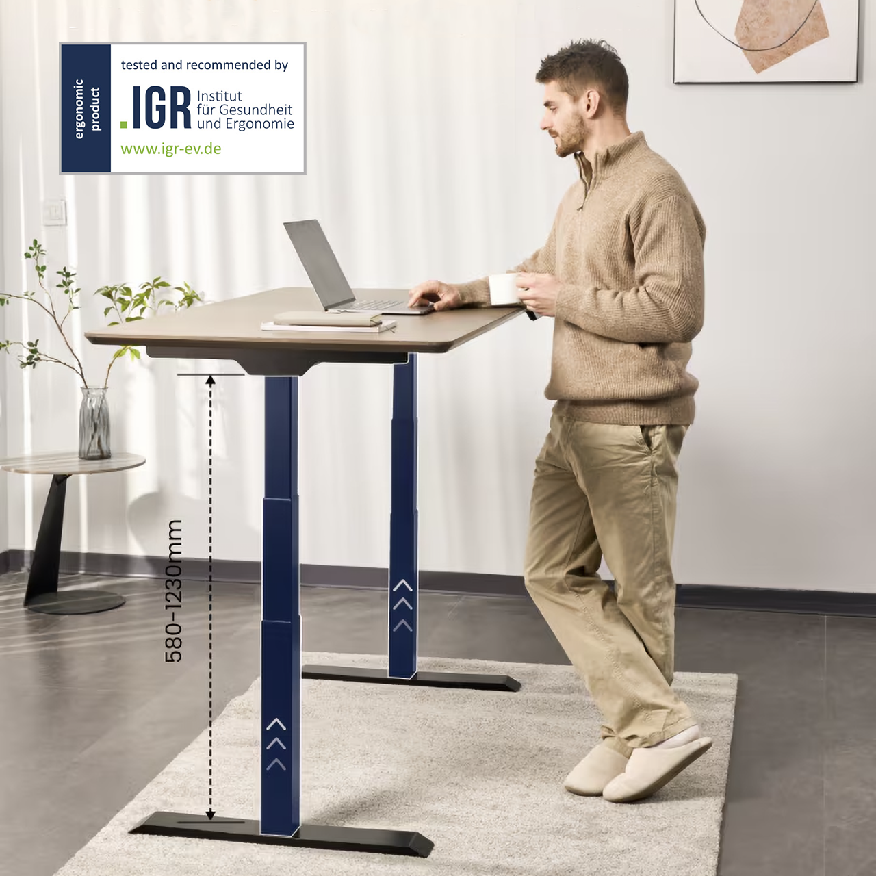 FlexiSpot E7 - Dual Motor Standing Desk (Premium Series)