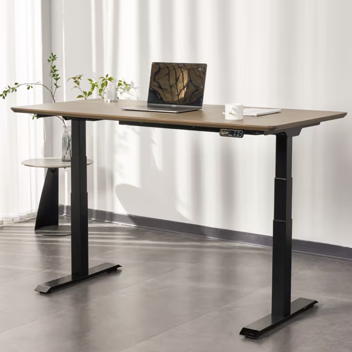 FlexiSpot E7 - Dual Motor Standing Desk (Premium Series)