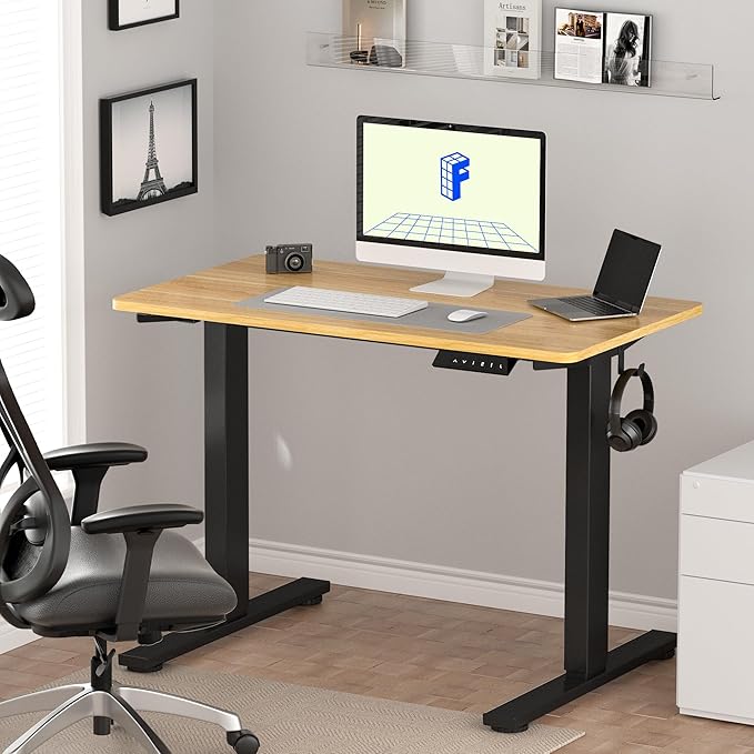FlexiSpot EN1 - Standing Desk
