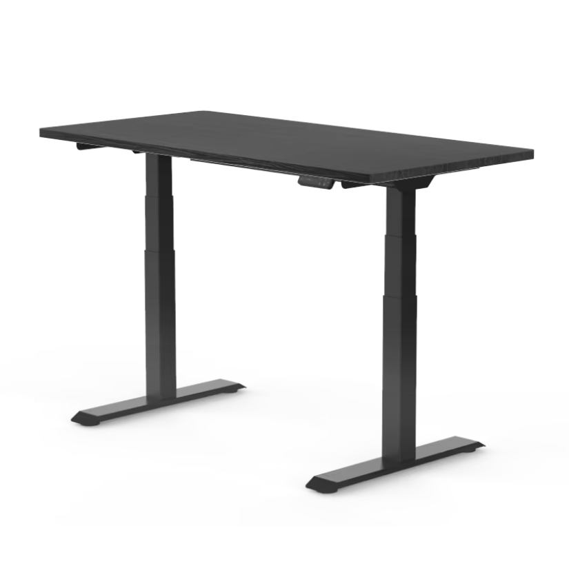 FlexiSpot E7 - Dual Motor Standing Desk (Premium Series)