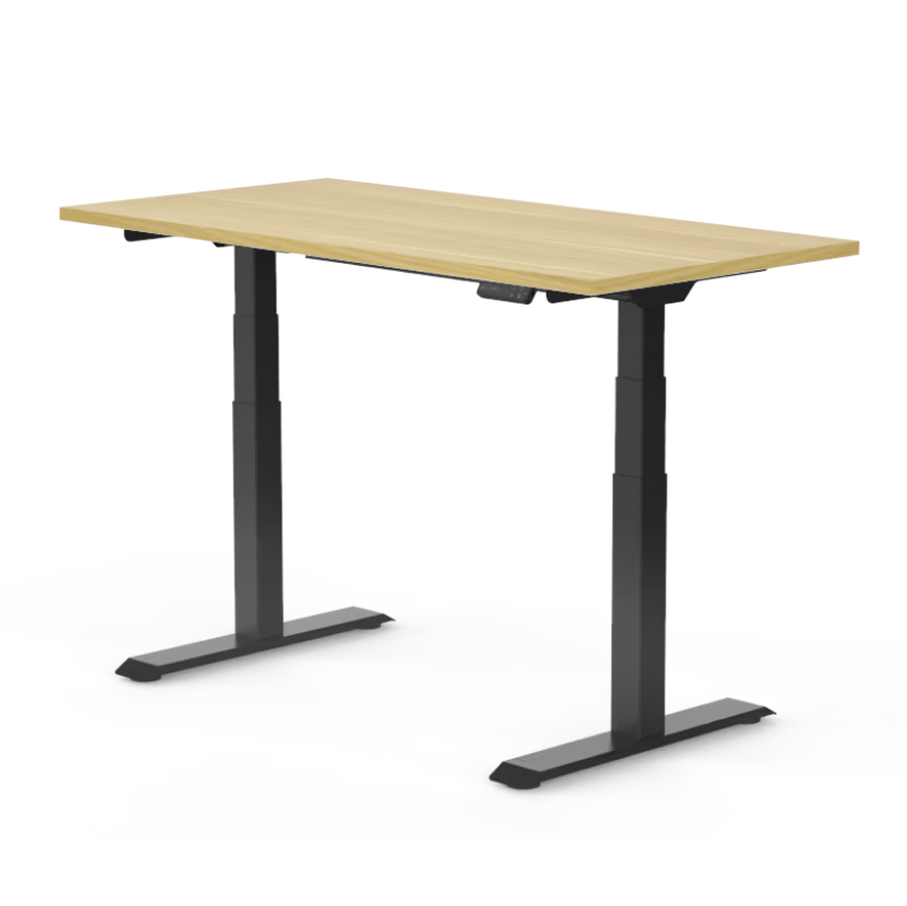 FlexiSpot E7 - Dual Motor Standing Desk (Premium Series)
