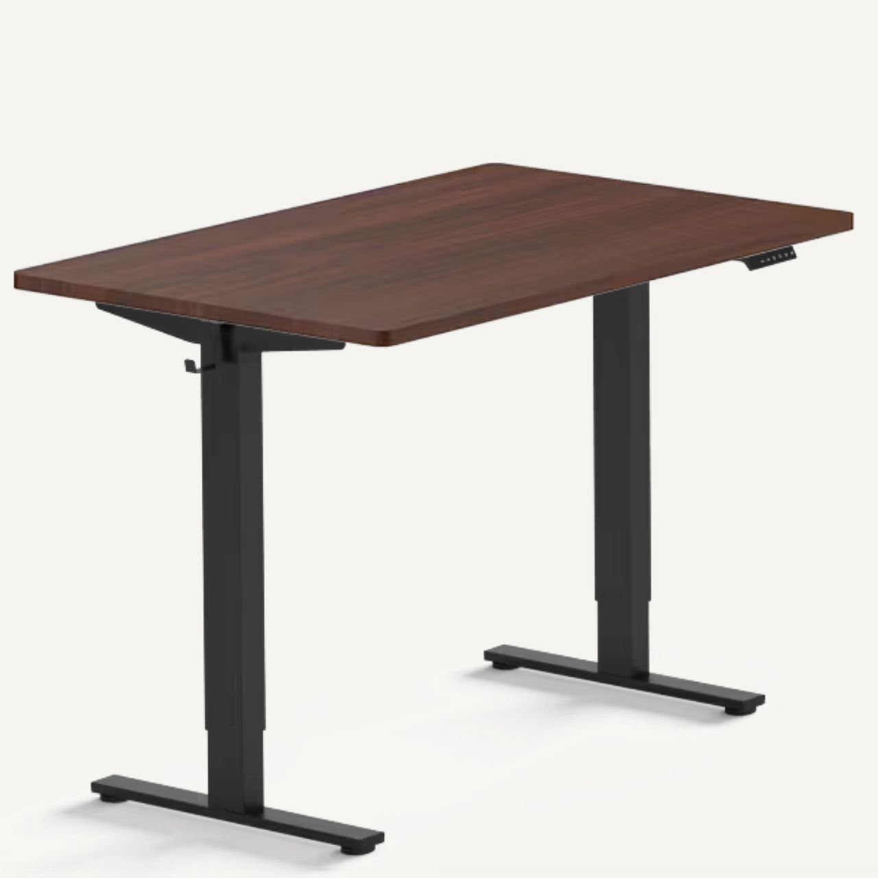 FlexiSpot EN1 - Standing Desk