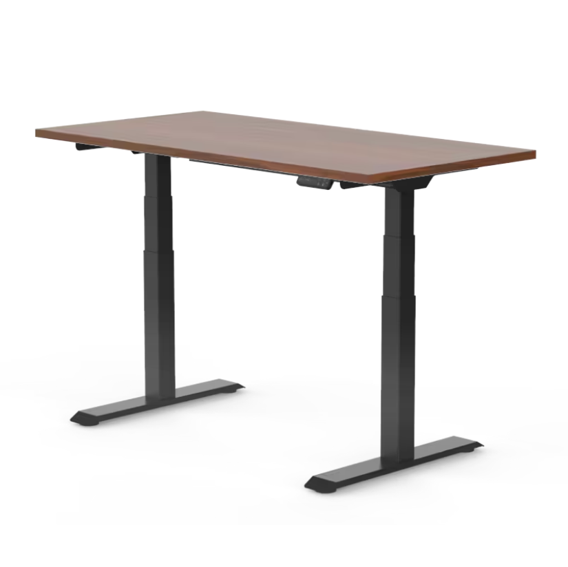 FlexiSpot E7 - Dual Motor Standing Desk (Premium Series)