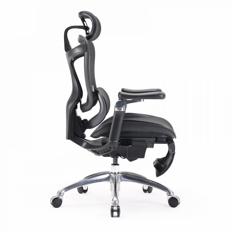 SIHOO Doro C300 ერგონომიული სავარძელი