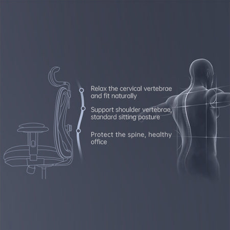 SIHOO M18 Ergonomic Chair