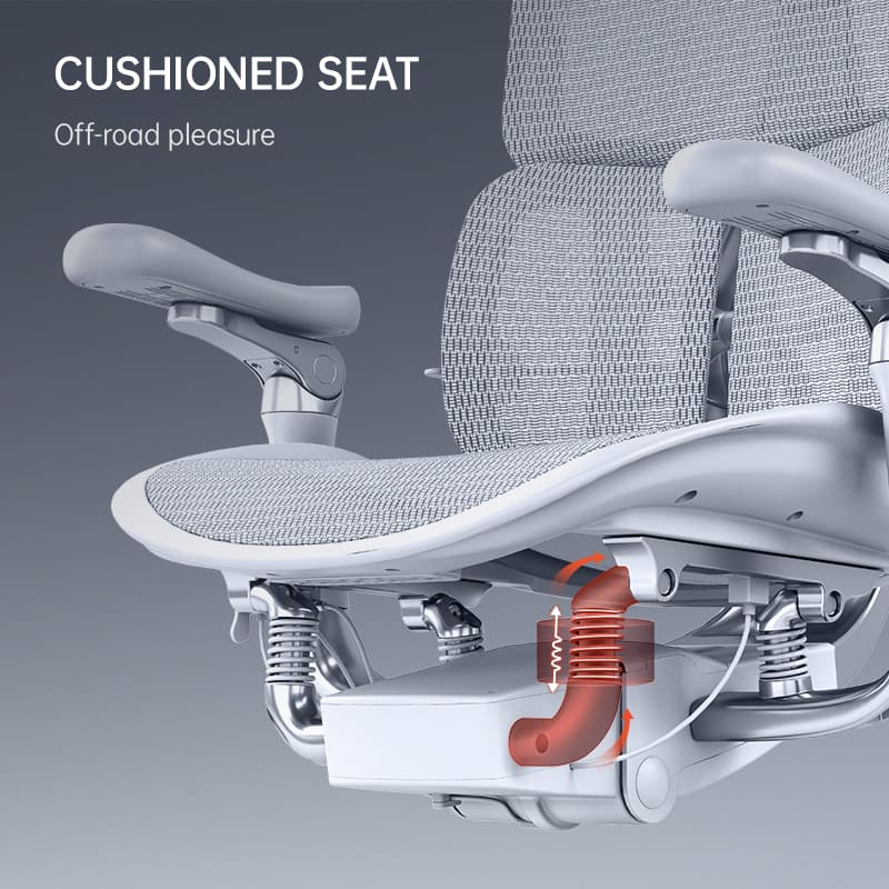 SIHOO Doro S300 Ergonomic Chair