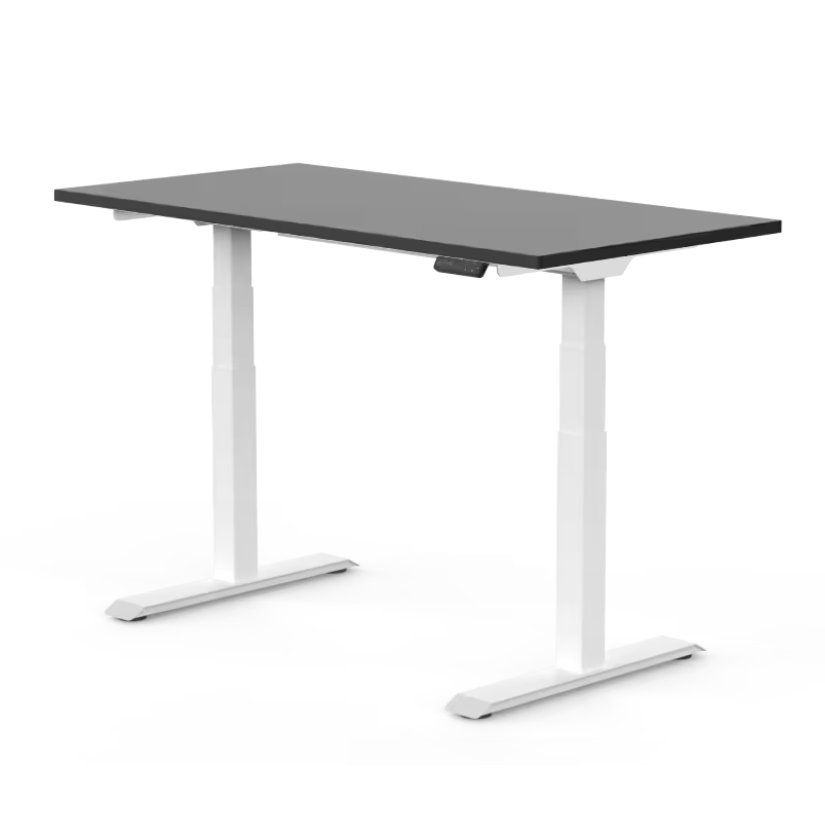 FlexiSpot E7 - Dual Motor Standing Desk (Premium Series)