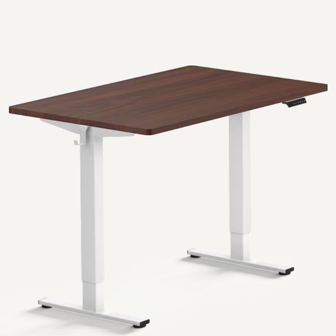 FlexiSpot EN1 - Standing Desk