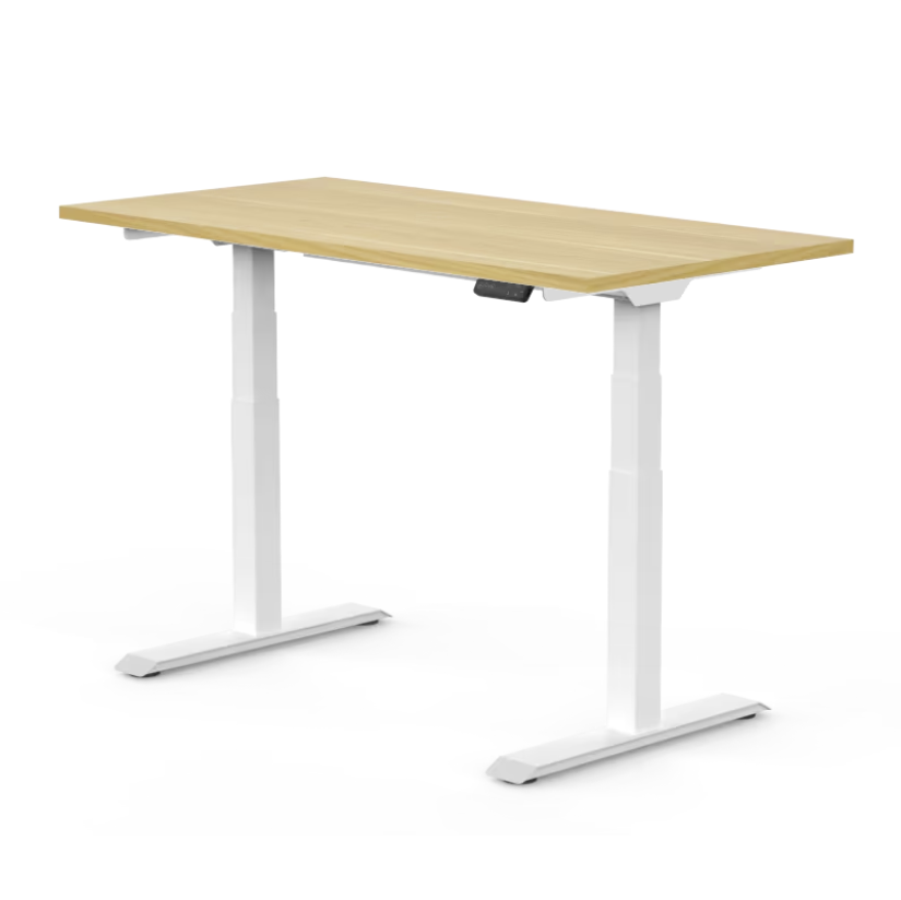 FlexiSpot E7 - Dual Motor Standing Desk (Premium Series)