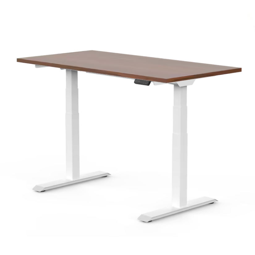 FlexiSpot E7 - Dual Motor Standing Desk (Premium Series)