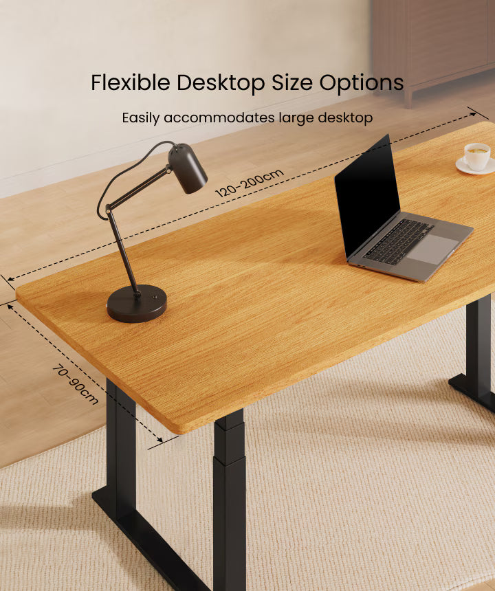 FlexiSpot E7 Plus