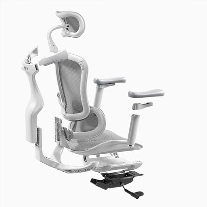 SIHOO Doro C300 ერგონომიული სავარძელი