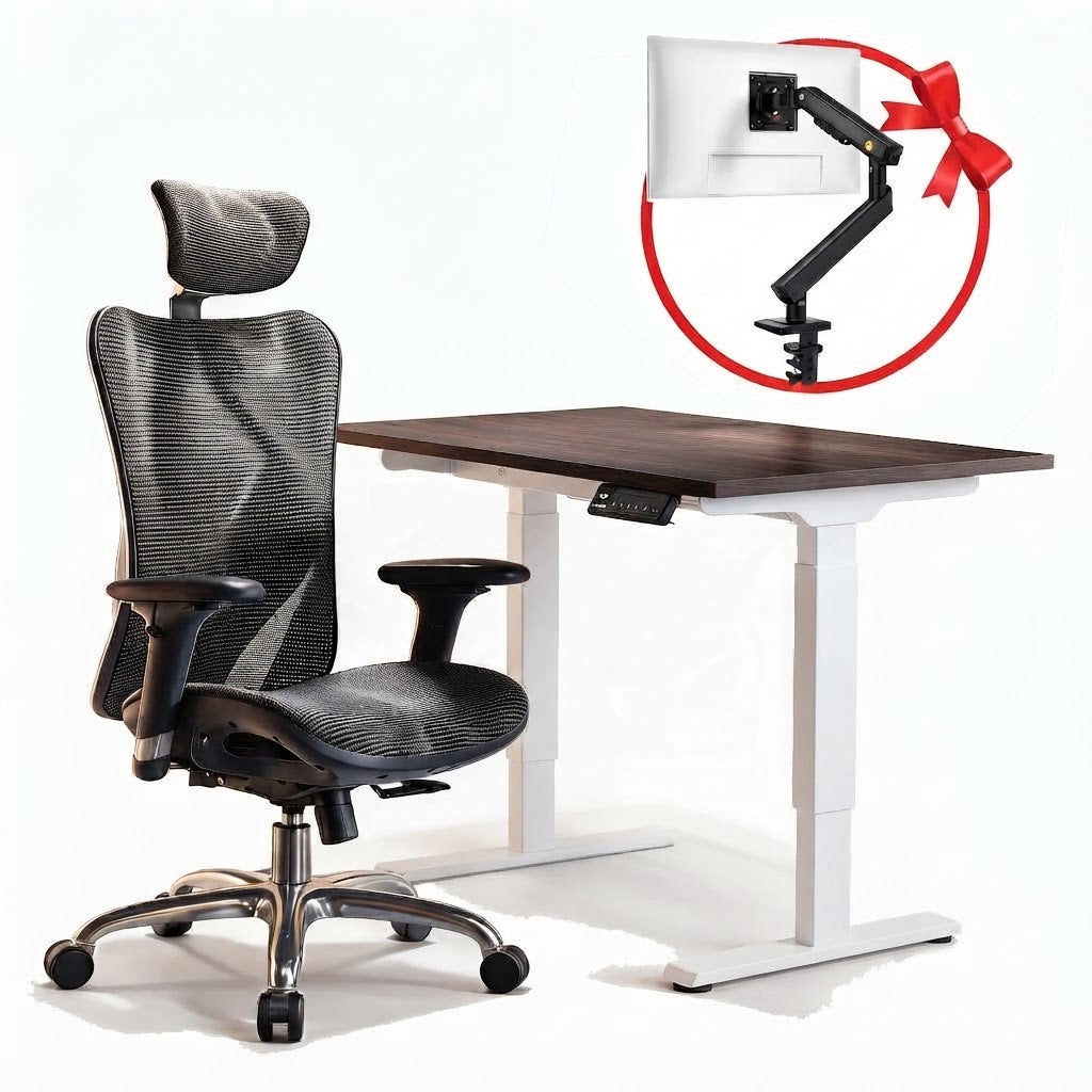 FlexiSpot E1 Pro & Sihoo M57 (Black) - Free Gift NB Smoovex A3