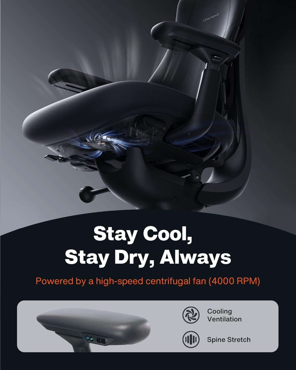 LiberNovo Omni Pro Dynamic Ergonomic Chair