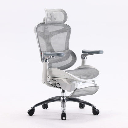 SIHOO Doro C300 Ergonomic Chair