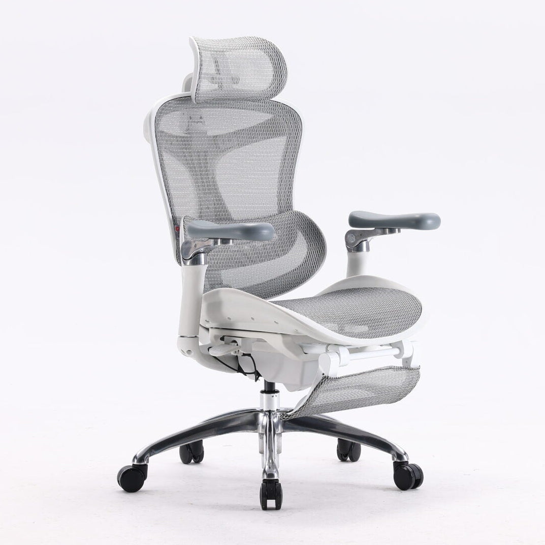 SIHOO Doro C300 ergonomic chair in an office setting