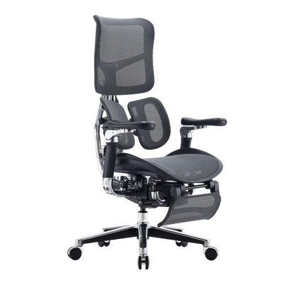 SIHOO Doro S300 Ergonomic Chair