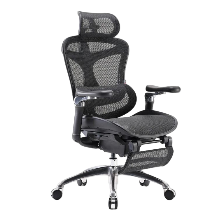SIHOO Doro C300 Ergonomic Chair