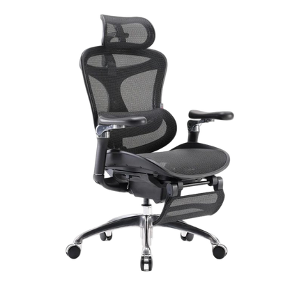 SIHOO Doro C300 Ergonomic Chair