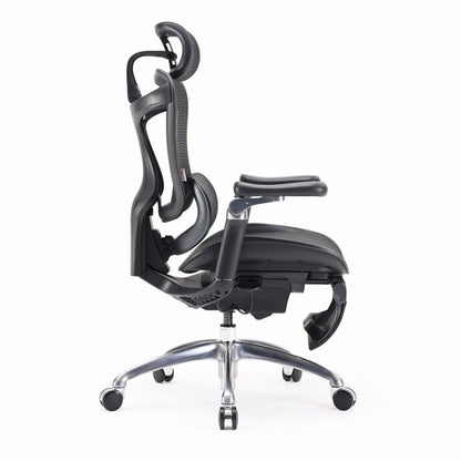 SIHOO Doro C300 ერგონომიული სავარძელი