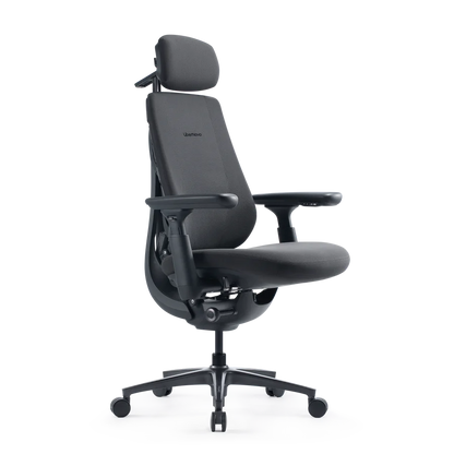 LiberNovo Maxis Airflow Dynamic Ergonomic Chair