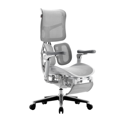 SIHOO Doro S300 Ergonomic Chair