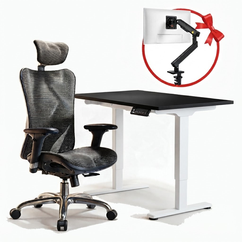 FlexiSpot E1 Pro & Sihoo M57 (Black) - Free Gift NB Smoovex A3
