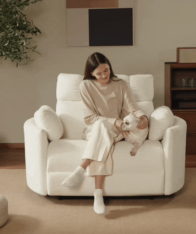 FlexiSpot Mochi Oversized Power Recliner