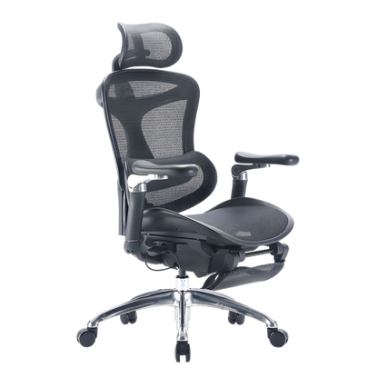 SIHOO Doro C300 Ergonomic Chair