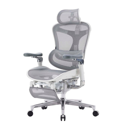 SIHOO Doro C500 ergonomic chair